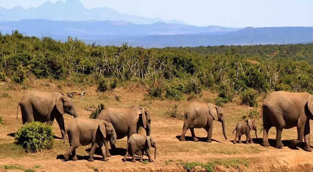 The 12 Top Destinations Of 2019