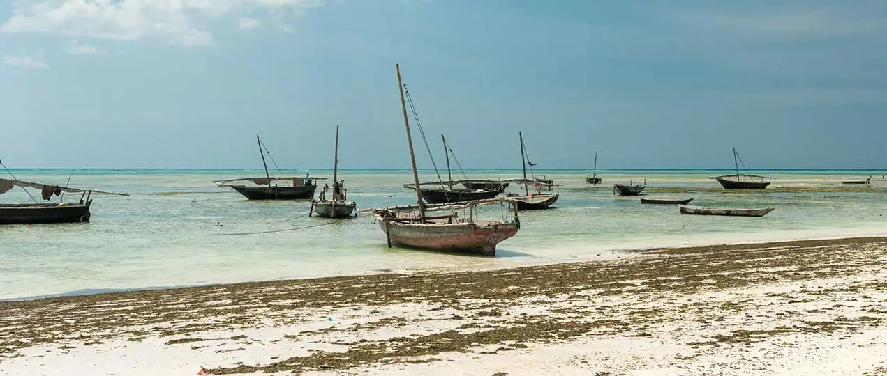 Tanzania Destination - Zanzibar Image